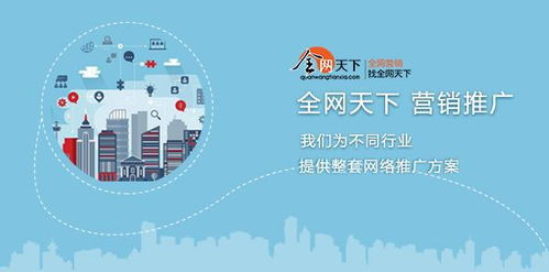一、主流软件推广平台概览