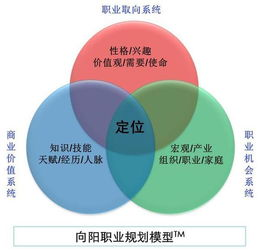 一、上海网络营销SEO的重要性