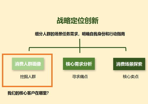 一、运营方案的战略定位