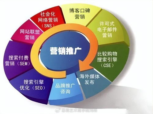 一、网络营销策略的制定