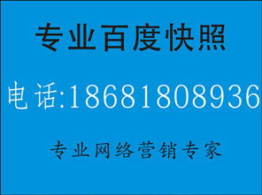 一、山东网络优化公司的服务内容