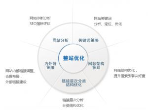 一、网站运营概述与目标设定