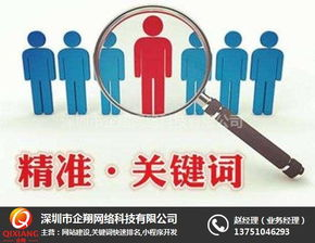 一、关键词优化工具的选择