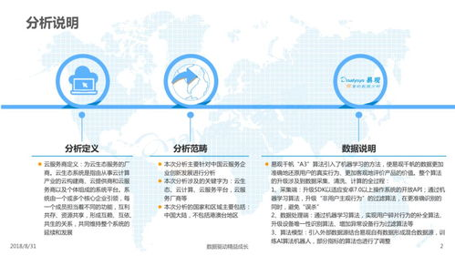 一、品牌定位与市场分析