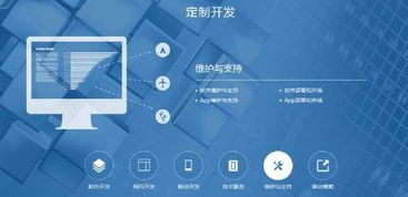 一、软件开发与定制服务