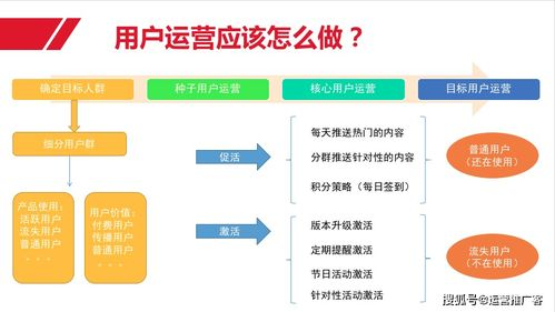 一、确定目标用户与内容定位