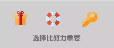 一、宁波网络推广运营公司的选择标准