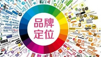 一、品牌定位与重塑案例