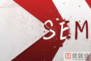 一、了解SEM培训的重要性