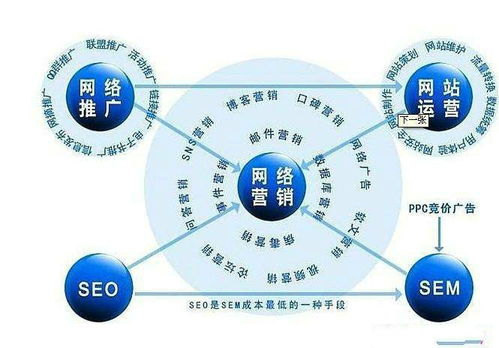 一、宁波网络推广团队的角色与重要性