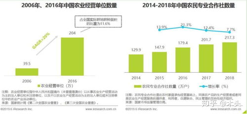 一、市场分析与企业定位