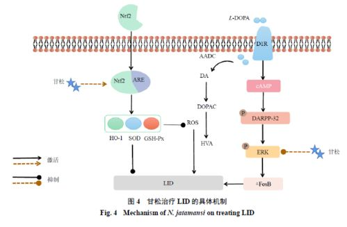 一、快照功能的工作原理
