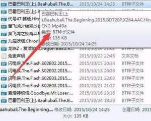 一、bt种子(torrent)下载原理简介