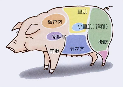 一、整站优化的重要性