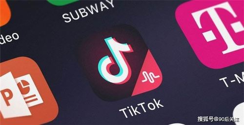 一、了解TikTok国际版网页入口