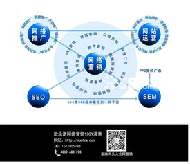 一、理解网站链接结构的重要性