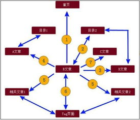 一、理解SEO排名工具的重要性