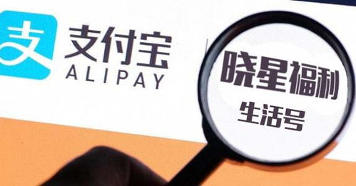 3. 討債公司的信譽(yù)和口碑