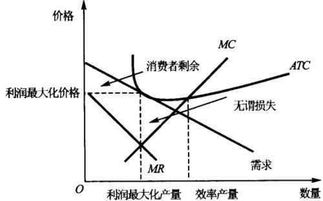 選擇標(biāo)準(zhǔn)二：專業(yè)能力