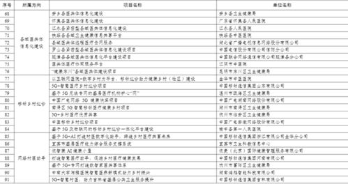 平湖南六企业发展现状与未来规划解析