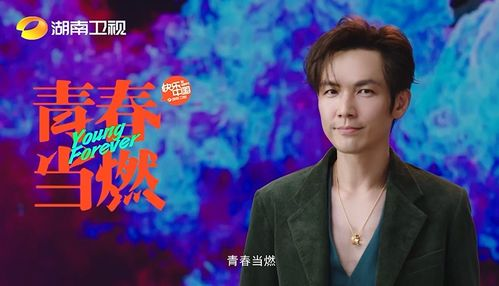 钟汉良在湖南影视圈的地位与影响力-演艺成就解析