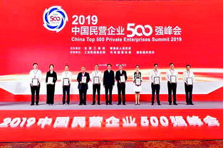 湖南博长控股集团,企业发展战略-市场竞争力分析