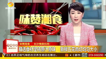 湖南都市寻情记直播,情感观察新视角-节目特色解析