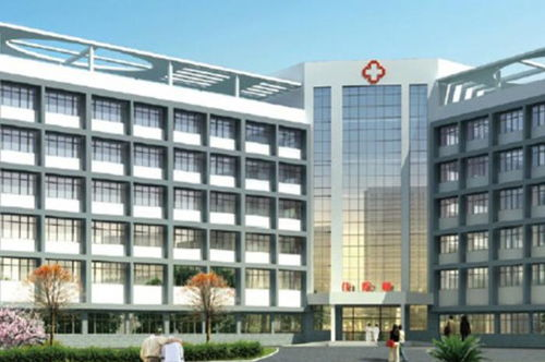 湖南娄底医院,优质医疗服务-选择指南解析