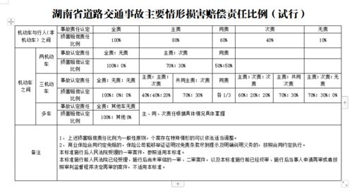 湖南省伤残赔偿标准,详解赔偿流程与规定-法律知识解读