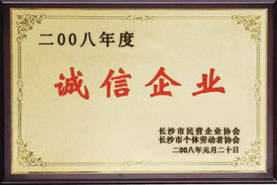 湖南天欣科技,创新驱动发展-企业文化与市场策略解析