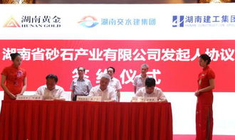 湖南海归协会,助力海归人才发展-全面服务解析
