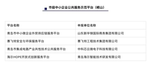 湖南人事人才网功能特点与求职技巧解析