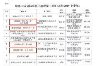 碧桂园湖南区域总裁,引领区域发展-职责与成就解析