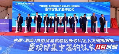 湖南欣港集团,商业模式与创新战略-企业持续增长解析