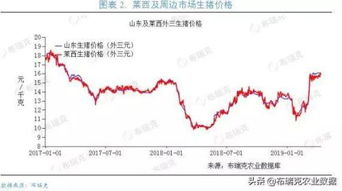 湖南省猪价波动原因及应对策略解析