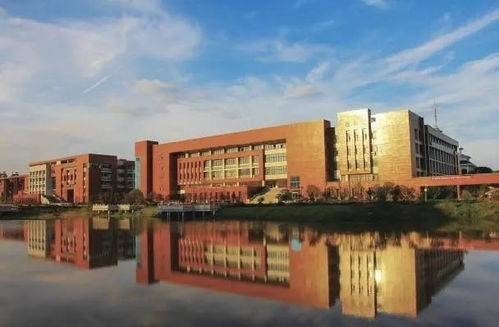 湖南工业大学包装设计专业深度解析-教育优势与行业发展