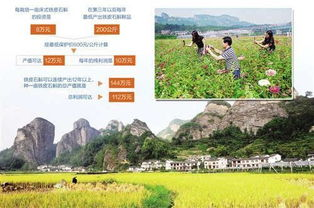 湖南绿景,生态旅游典范-可持续发展路径解析