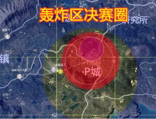 湖南打死学生事件深层原因与影响分析-社会安全问题探讨