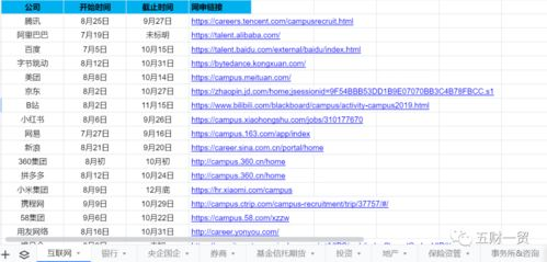 湖南卫视校招流程与岗位要求解析-职业发展指南