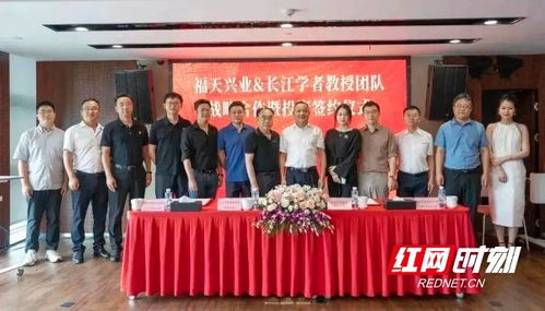湖南福天兴业集团,企业发展战略与市场竞争力分析