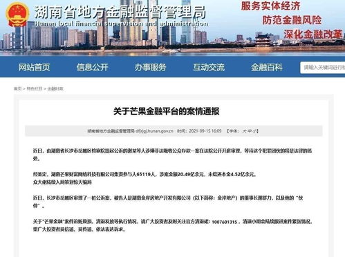 湖南中箱,物流解决方案专家-业务模式与市场优势解析
