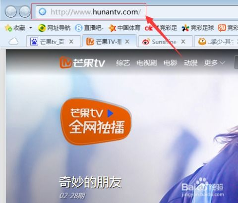 湖南经视在线直播观看全攻略-随时随地享受精彩节目