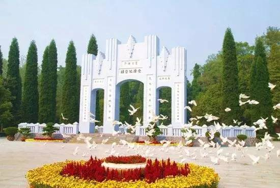 湖南音乐台,多元化音乐节目-提升网络曝光率策略解析