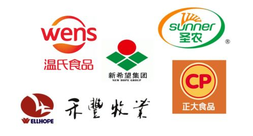 一、湖南鑫迪的企业发展历程