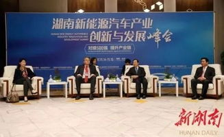 湖南鹏翔科技有限公司,无人机行业领导者-创新技术与应用解析