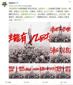 湖南卫视抄袭现象深度剖析-原因、影响与对策