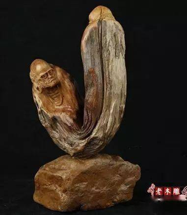 湖南崖柏特点与价值解析-生长环境与保护策略