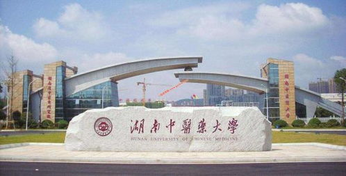 湖南中医药大学论坛,学术交流与信息共享的桥梁-功能与优势解析