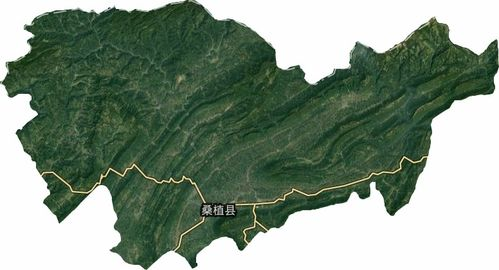 湖南省桑植县邮编查询与使用指南-便捷通讯解决方案