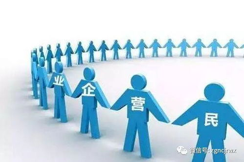 湖南国林：可持续发展策略与市场拓展解析